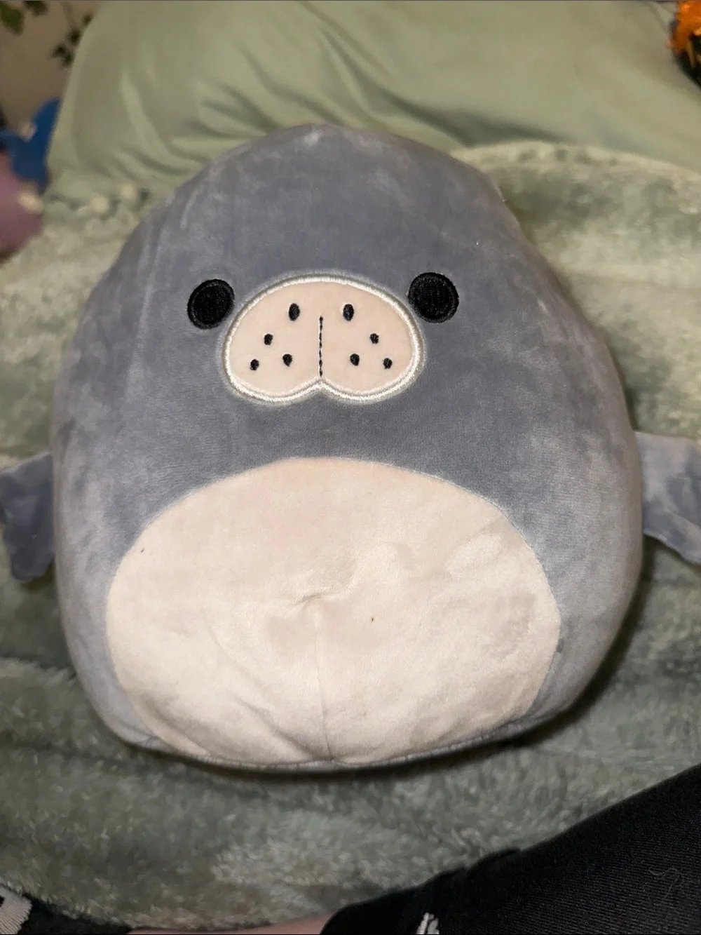 Squishmallows Gray and Cream Seal Plush